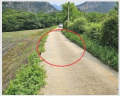  2024Ÿ31827   ŵ õ 374      (1)