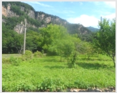  2024Ÿ31827   ŵ õ 374      (1)