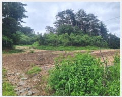  2024Ÿ��31858  �Ӿ߰��