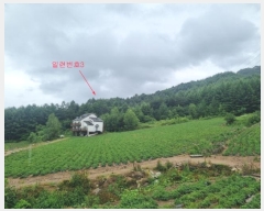  2024Ÿ��31858  �Ӿ߰��