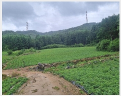  2024Ÿ��31858  �Ӿ߰��