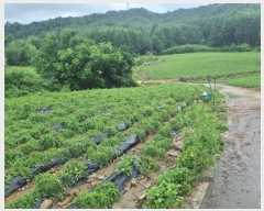  2024Ÿ��31858  �Ӿ߰��