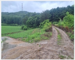  2024Ÿ��31858  �Ӿ߰��