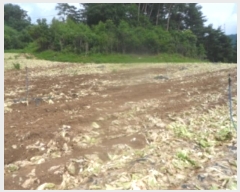  2024Ÿ��31858  �Ӿ߰��