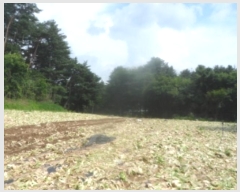  2024Ÿ��31858  �Ӿ߰��