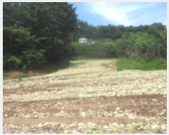  2024Ÿ��31858  �Ӿ߰��