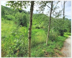  2024Ÿ��32066 ���� ��â�� ����� ��¸� ��138-3      ����(�Ӿ�)���