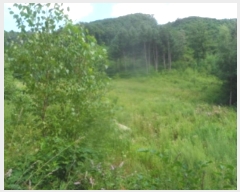  2024Ÿ��32066 ���� ��â�� ����� ��¸� ��138-3      ����(�Ӿ�)���