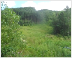  2024Ÿ��32066 ���� ��â�� ����� ��¸� ��138-3      ����(�Ӿ�)���