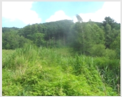  2024Ÿ��32066 ���� ��â�� ����� ��¸� ��138-3      ����(�Ӿ�)���