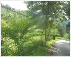  2024Ÿ��32066 ���� ��â�� ����� ��¸� ��138-3      ����(�Ӿ�)���