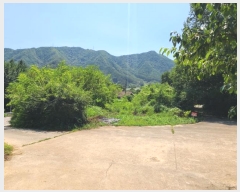  2024Ÿ��32172 ���� ��â�� ��ź�� â�� 318-1      ����(��)���