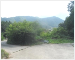  2024Ÿ��32172 ���� ��â�� ��ź�� â�� 318-1      ����(��)���