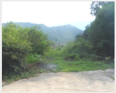  2024Ÿ��32172 ���� ��â�� ��ź�� â�� 318-1      ����(��)���