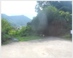  2024Ÿ��32172 ���� ��â�� ��ź�� â�� 318-1      ����(��)���