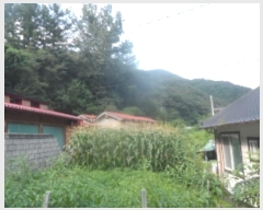  2024Ÿ��32172 ���� ��â�� ��ź�� â�� 318-1      ����(��)���