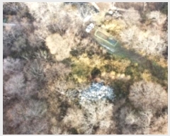  2024Ÿ32493     679      (1)