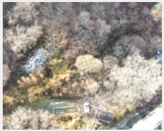  2024Ÿ32493     679      (1)