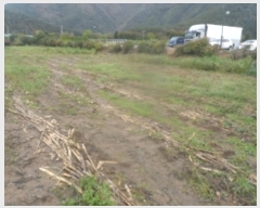  2024Ÿ��32561  �����