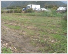  2024Ÿ��32561  �����