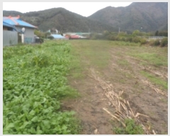  2024Ÿ��32561  �����