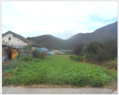  2024Ÿ��32561  �����