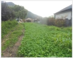  2024Ÿ��32561  �����