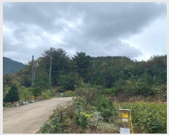  2024Ÿ��32653 ���� ��â�� ���θ� ������ 63-5      ����(�Ӿ�)���