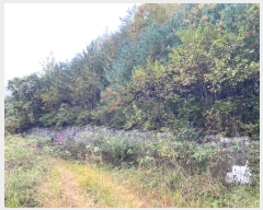  2024Ÿ��32653 ���� ��â�� ���θ� ������ 63-5      ����(�Ӿ�)���