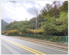  2024Ÿ��32653 ���� ��â�� ���θ� ������ 63-5      ����(�Ӿ�)���