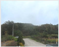  2024Ÿ��32653 ���� ��â�� ���θ� ������ 63-5      ����(�Ӿ�)���