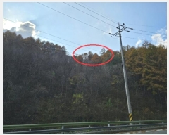  2024Ÿ32738  â ɸ 긮 584-45      (Ӿ)