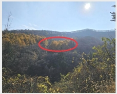  2024Ÿ32738  â ɸ 긮 584-45      (Ӿ)