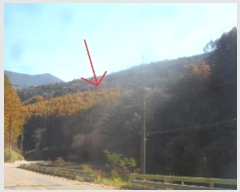  2024Ÿ32738  â ɸ 긮 584-45      (Ӿ)