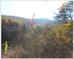  2024Ÿ32738  â ɸ 긮 584-45      (Ӿ)