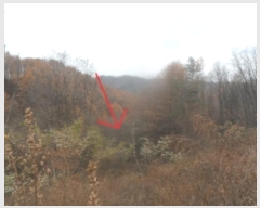  2024Ÿ��32905  �����