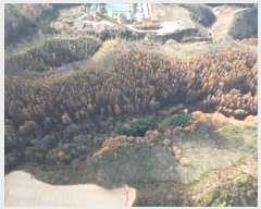  2024Ÿ��32905  �����