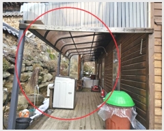  2024Ÿ33137  â ȭ  849-21      ð