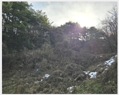  2024Ÿ33427    䱳 914      (1)