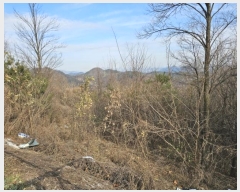  2024Ÿ33427    䱳 914      (1)