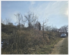  2024Ÿ33427    䱳 914      (1)