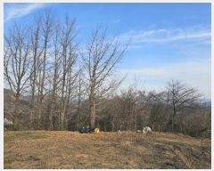  2024Ÿ33427    䱳 914      (1)