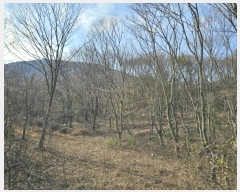  2024Ÿ33427    䱳 914      (1)