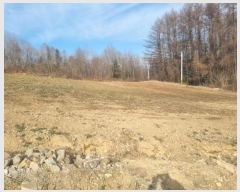  2024Ÿ��33458  �Ӿ߰��