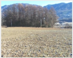  2024Ÿ��33458  �Ӿ߰��