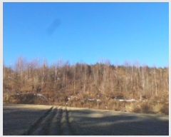  2024Ÿ��33502  �Ӿ߰��