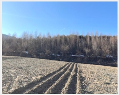  2024Ÿ��33502  �Ӿ߰��