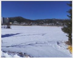  2024Ÿ��33694 ���� ��â�� ���θ� ������ 1250-6      ����(��1)���