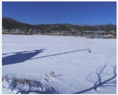  2024Ÿ��33694 ���� ��â�� ���θ� ������ 1250-6      ����(��1)���