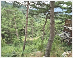  2024Ÿ��601 ���� ��â�� ��â�� ������ ��206-34      ��,�繫�ǰ��